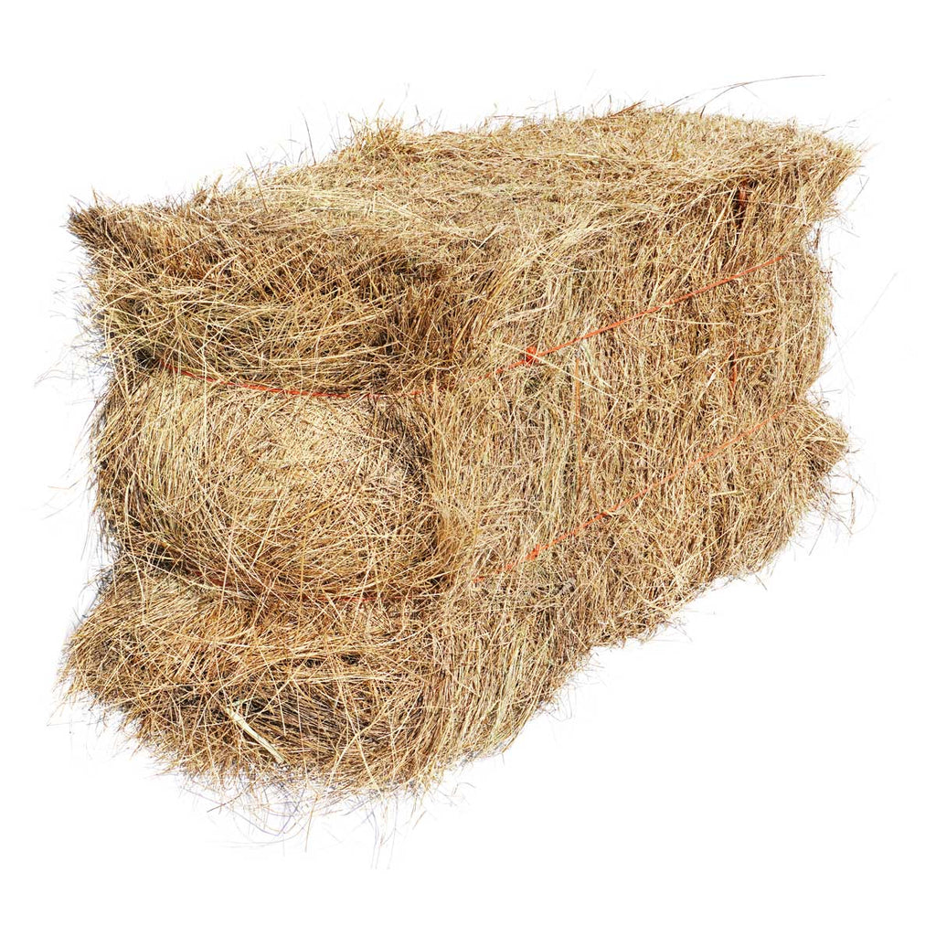 Salt Hay Mulch Bale for Vegetable Gardens and Overseeding Lawn
