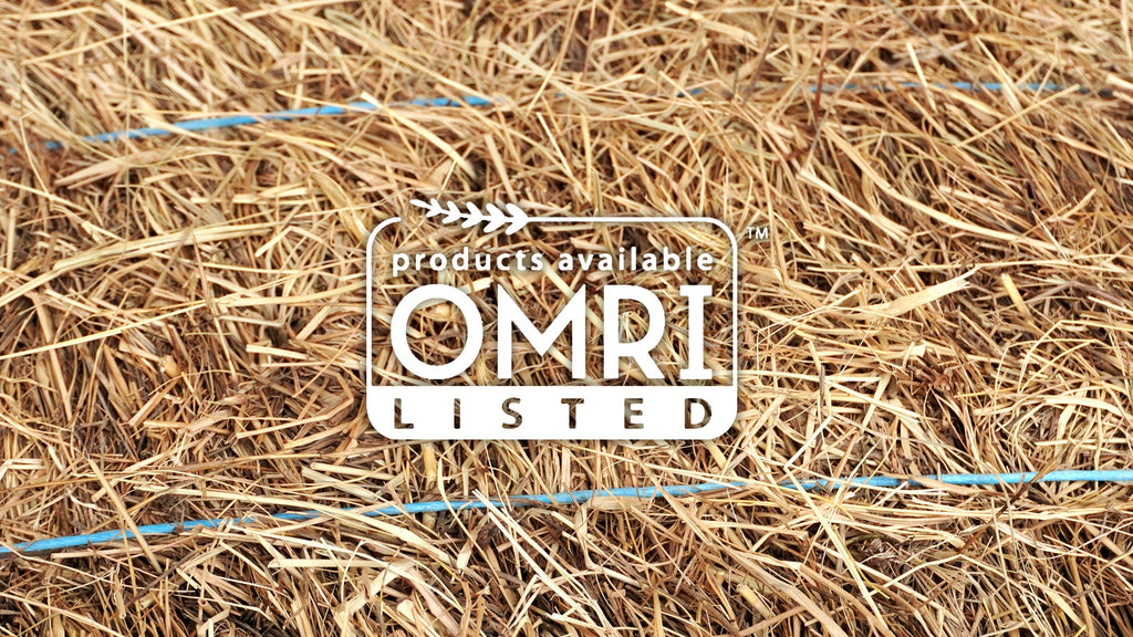 Salt Hay Organic Vegetable Garden Mulch OMRI